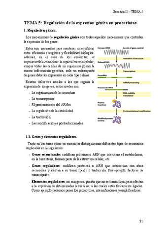 Genetica-II-TEMA-5.pdf