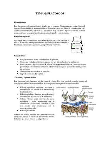 Tema-4Placozoa.pdf
