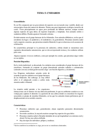 Tema-5Cnidaria.pdf