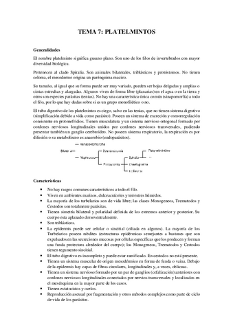 Tema-7Platyhelminthes.pdf