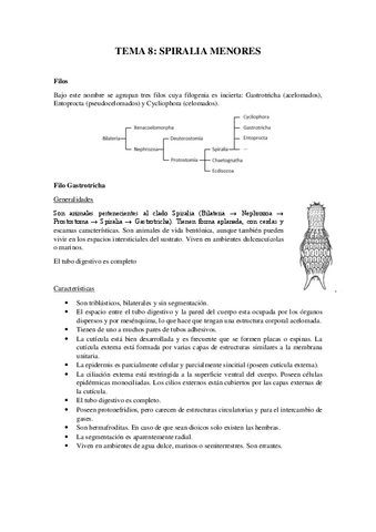 Tema-8Spiralia-menores.pdf