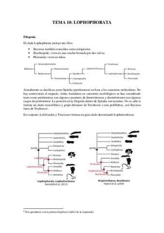 Tema-10Lophophorata.pdf