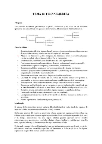 Tema-11Nemertea.pdf