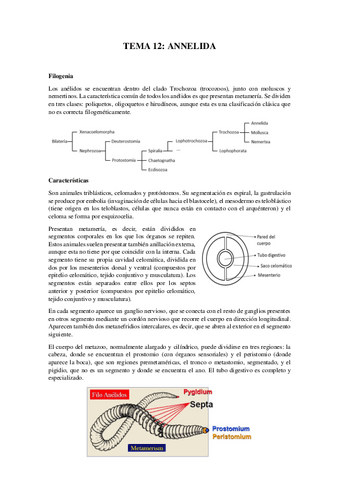 Tema-12Annelida.pdf