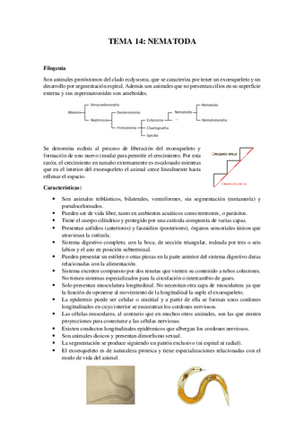Tema-14Nematoda.pdf