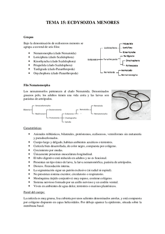 Tema-15Ecdysozoa-menores.pdf