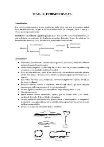 Tema-17Echinodermata.pdf