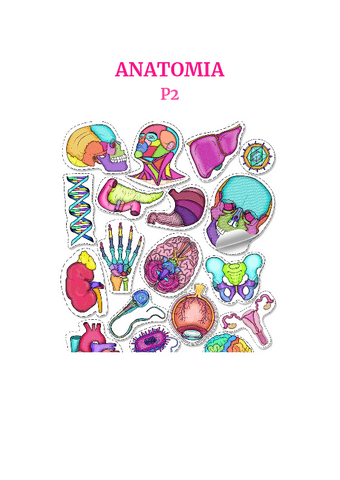 ANATOMIA-P2.pdf