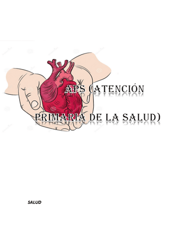 APS.-ATENCION-PRIMARIA-EN-SALUD.pdf