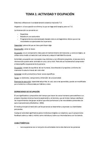 AVD-apuntes.pdf