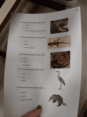 examen-practicas-zoo-2022.pdf