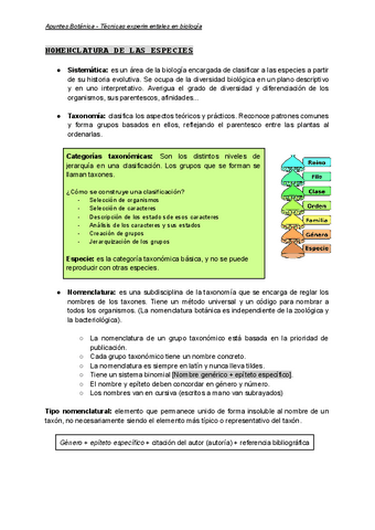 TEB-BOTANICA.pdf