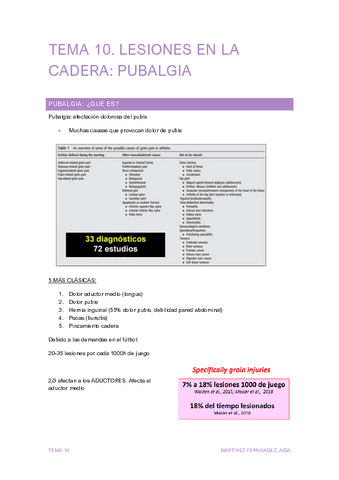 TEMA-10-RF.pdf