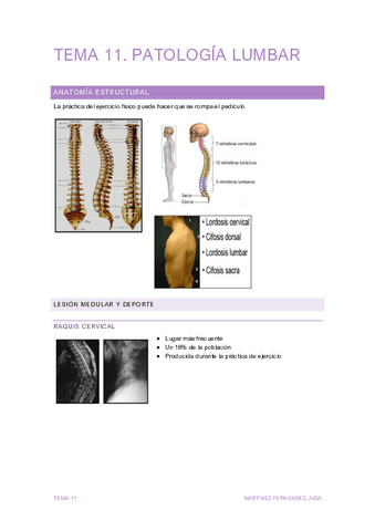 TEMA-11-RF.pdf