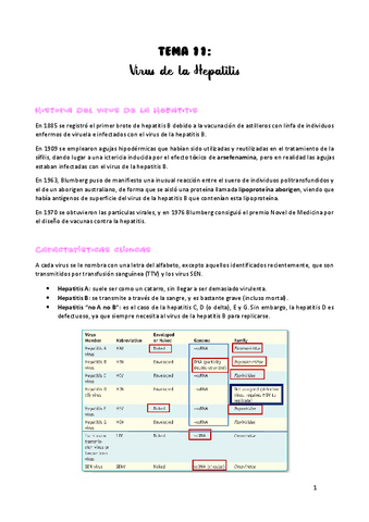 TEMA-11.pdf
