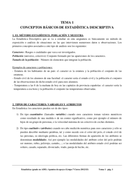 TEMA 1.pdf