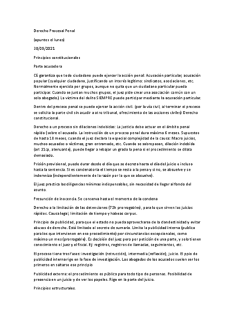 Derecho-Procesal-Penal.docx.pdf