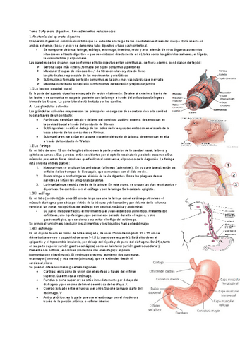 Tema-9-Aparato-digestivo.pdf
