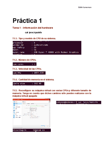 Practica-1.pdf
