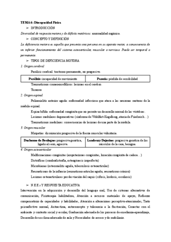 TEMA-6.pdf