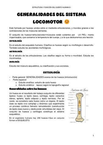 GENERALIDADES-DEL-SISTEMA-LOCOMOTOR-pdf.pdf