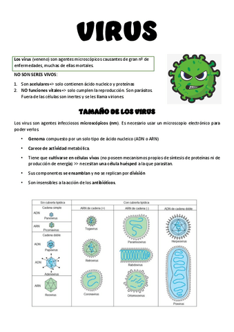 TEMA-3-VIRUS.pdf