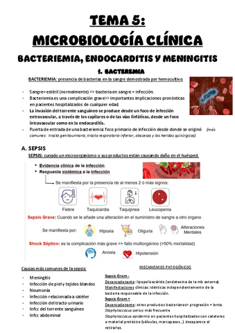 TEMA-5-MICROBIOLOGIA-CLINICA.pdf