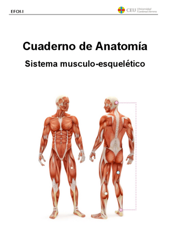 cuaderno-anatomia-completo-resuelto-2023.pdf
