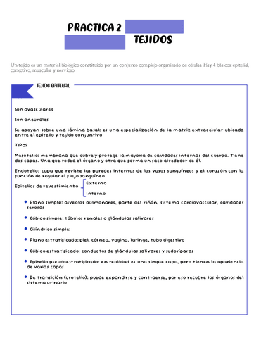 Tejidos-epiteliales.pdf