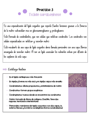 Tejido-cartilaginoso.pdf