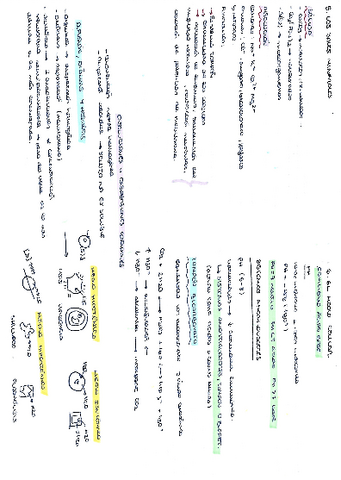 Componentes-quimicos-de-la-celula-Carla-Casasempere.pdf