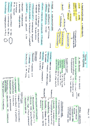 Los-Glucidos-Carla-Casasempere.pdf