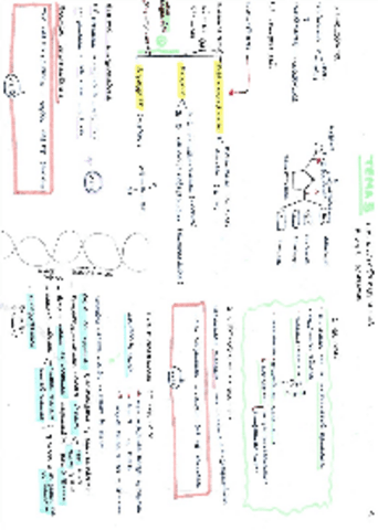 Los-nucleotidos-y-acidos-nucleicos.pdf