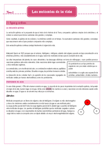 Tema-2.docx.pdf