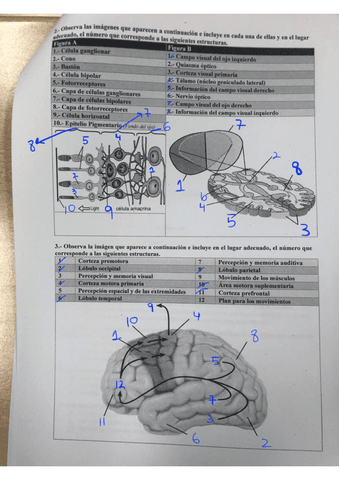 Examen-ejercicios-practicos.pdf