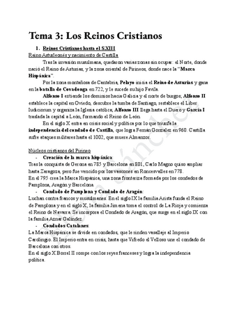 Tema-3-Historia-de-Espana-Los-Reinos-Cristianos.pdf