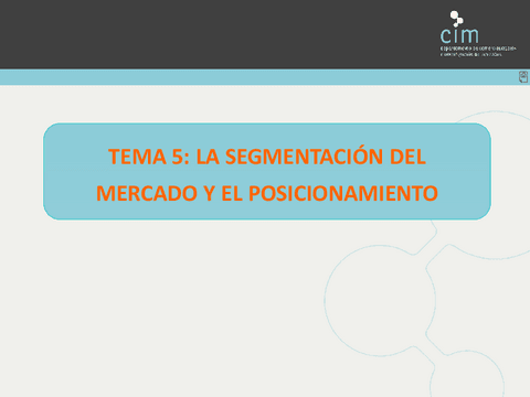 Tema-5-La-segmentacion-del-mercado-y-el-posicionamiento.pdf