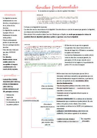 Derechos-fundamentales.pdf