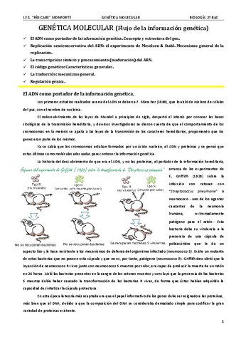La genetica molecular que es y todo lo que debes saber resumido rapido y facil de entender.pdf