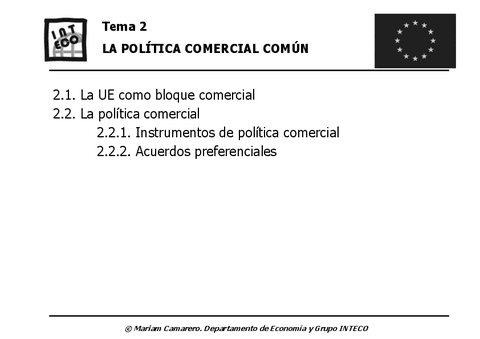 Tema2ECO202021gris.pdf
