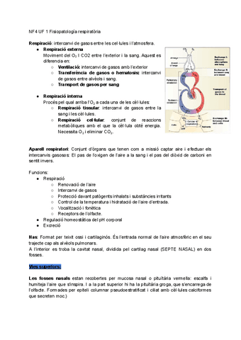 NF4-RESUM. Aparell respiratori.pdf