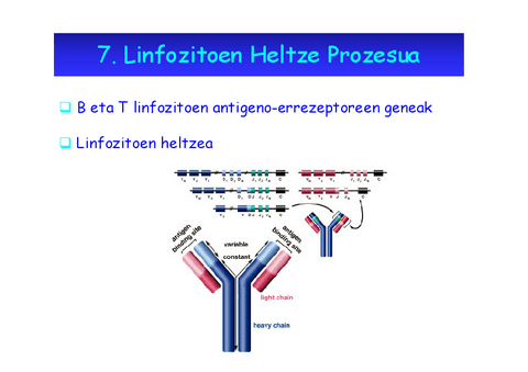 Immuno-III.pdf