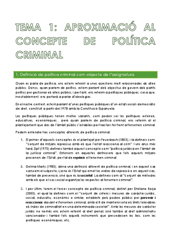 TEMARI-POLITICA.pdf