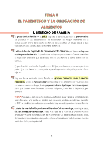 TEMA-5-DERECHO-DE-FAMILIA.pdf