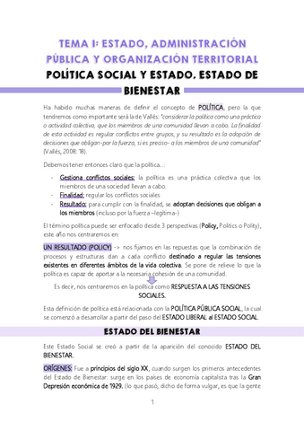 TEMA-1-POLITICA-SOCIAL-II.pdf
