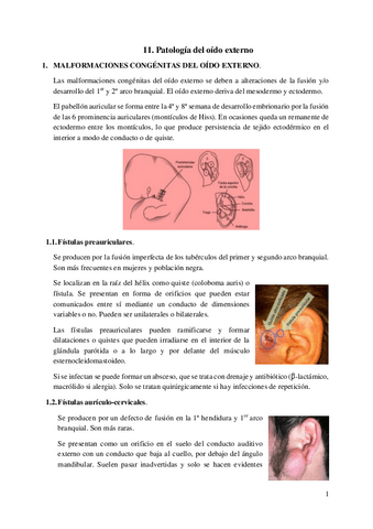 11.-Patologia-del-oido-externo.pdf