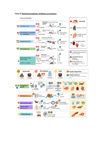 Parasitologia-sanitaria.-Parasitos-hematicos-linfaticos-y-tisulares..pdf