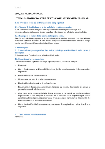 proteccionTEMA1.pdf