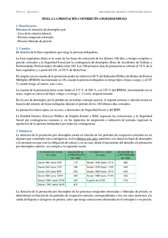 proteccionTEMA2.pdf