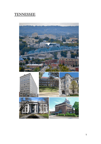 TENNESSE.pdf